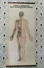 Coppia cartelloni anatomical usato  Torino