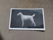 Vintage postcard white for sale  HARLOW