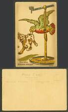 Cartão postal antigo assinado pelo artista M. Morris pinching pincher beliscado! Pássaro papagaio e cachorro comprar usado  Enviando para Brazil