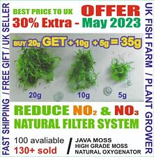 Java moss high for sale  PETERBOROUGH