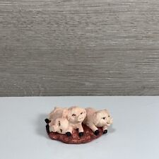 Little pigs small for sale  Saint Charles