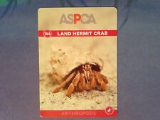 Land hermit crab for sale  Saint Louis