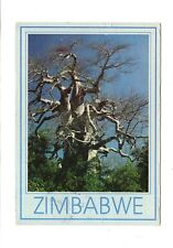 Ansichtskarte baobab baum gebraucht kaufen  Winsen