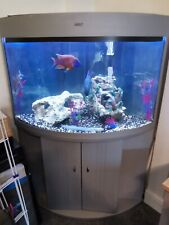 corner fish tank for sale  SOUTHEND-ON-SEA