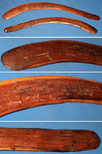 hunting boomerang for sale  Ann Arbor