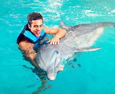 Dolphin encounter activity for sale  Dayton