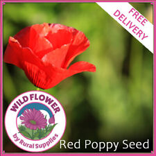 Red poppy seeds for sale  SELBY