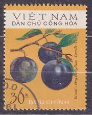 VIETNAM North 1975 SC#771 used 30xu st., Fruit, Chrysophyllum cainito., used for sale  Shipping to South Africa