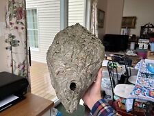 Hornet nest inches for sale  Manasquan