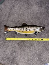 brown mounted trout for sale  Elmwood Park