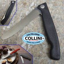 Victorinox coltello costata usato  Busto Arsizio