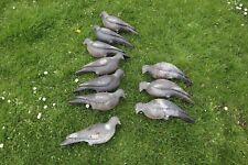 Set pigeon decoys for sale  LEIGHTON BUZZARD