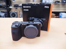 Used sony a6600 for sale  Muskegon