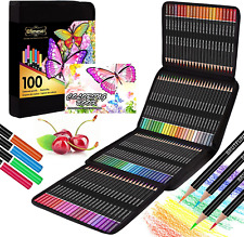 100 matite colorate usato  Italia