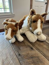 Animal alley collie for sale  Bromide