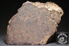 polished meteorite for sale  Rumson