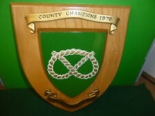 County champions 1970 for sale  PAIGNTON