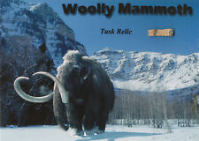 Woolly mammoth prehistoric for sale  Walkersville