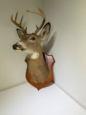 Vintage whitetail deer for sale  Orlando