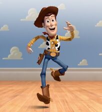 Quadro com estampa de celebridade Woody on Toy Story 8x10 comprar usado  Enviando para Brazil