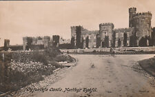 Cyfarthfa castle merthyr for sale  LLANDRINDOD WELLS