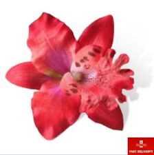 Red orchid flower for sale  SOLIHULL