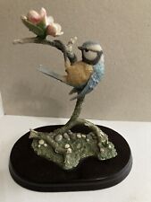 Bluetit bird foraging for sale  SHANKLIN