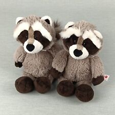 Nici waschbär raccoon gebraucht kaufen  Dalheim, Mommenheim, Undenheim