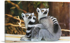 Artcanvas lemurs home for sale  Niles
