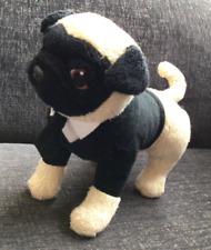 Rare frank pug for sale  HAVANT