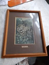 Picture louis wain for sale  NEWBURY
