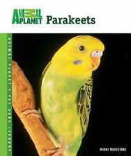 Parakeets moustaki nikki for sale  Tontitown