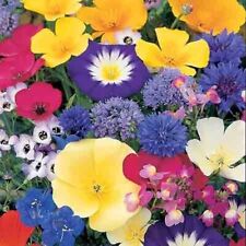 Wildflower seeds pure for sale  UK