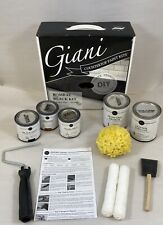 Giani countertop paint for sale  Ferndale
