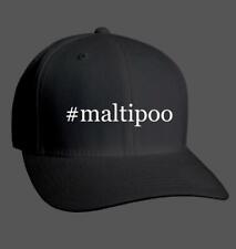 Maltipoo adult hashtag for sale  USA