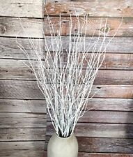 Decorative birch branches for sale  Unadilla