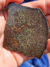 Huge brachinite meteorite for sale  Shipping to Ireland