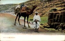ägypten beduinen kamel gebraucht kaufen  Berlin