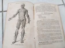 Livre ancien anatomie d'occasion  Saint-André-de-Cubzac