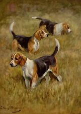 Antique beagle dog d'occasion  Expédié en Belgium