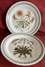 Portmeirion dinner plates for sale  Broadview Heights