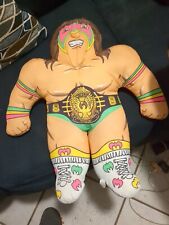 Wwe wrestling buddy for sale  Fort Lauderdale