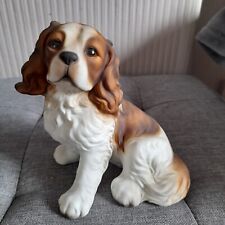 Cavalier king charles for sale  LUTON