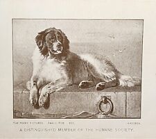 Vintage photograph dog for sale  Guttenberg