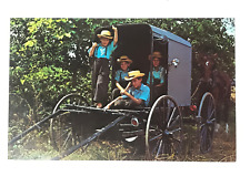Postcard amish boys for sale  Princeton