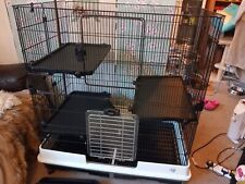 Chinchilla rat guinea for sale  BIRMINGHAM