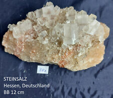 Mineraliensteinsalz deutschlan gebraucht kaufen  Korntal-Münchingen