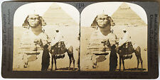 Usado, Conjunto Keystone Stereoview Sphinx & Great Pyramid, Gizé, Egito da década de 1930 T400 #T233 comprar usado  Enviando para Brazil