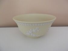 Vintage wedgwood jasperware for sale  PAIGNTON