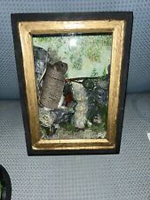Taxidermy mouse glass for sale  MACHYNLLETH